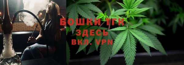 сатива Семёнов